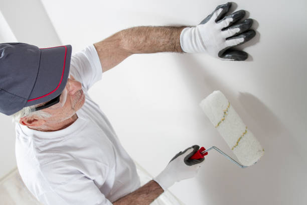 Best Drywall Sanding and Smoothing  in Birchwood Lakes, PA